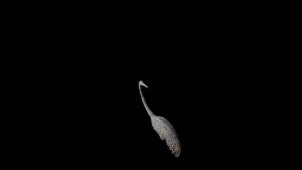 西安市秦始皇陵墓兵马俑兵马俑中一只青铜水鸟在黑色背景的皇家花园复制品中的近景 — 图库视频影像
