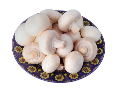 Beyaz arka plan üzerinde izole plaka üzerinde beyaz mantar