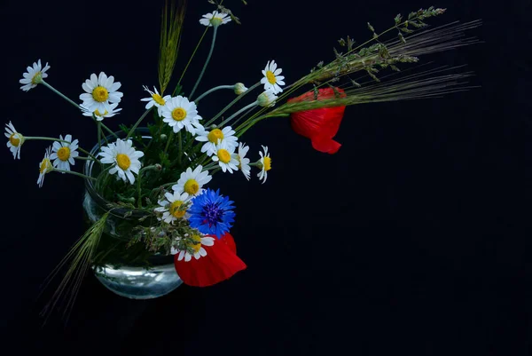 Λουλουδάτη διάταξη από κόκκινες παπαρούνες, μαργαρίτες, άνθη καλαμποκιού σε μαύρο φόντο — Φωτογραφία Αρχείου