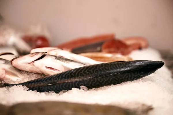 Mare e oceano pesce ghiacciato su un negozio di visualizzazione primo piano. Supermercato del pesce. Una grande varietà di pesce — Foto Stock