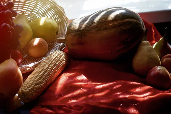 Осенняя творческая концепция доски настроения: фрукты и овощи, тыква, кукуруза, груши, яблоко, виноград и дыня в черной рамке. Концепция Дня благодарения. Осенний эстетический натюрморт с модными тенями — стоковое фото