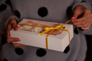 Kadın elleri, içinde pembe ve beyaz şekerlemeler olan bir hediye kutusu veriyor. Boks günü konsepti. Sıcak kış hafta sonları. Ev yapımı tatlılar.