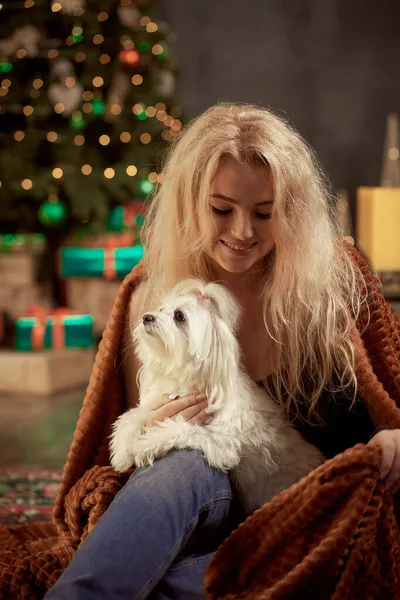Evcil beyaz köpeğiyle Noel atmosferinde sevimli, neşeli bir kızın portresi. Sıcak, sıcak bir ev.