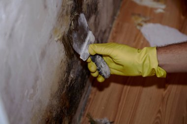 Duvardaki modası geçmiş küfler. İç mekanda tadilat var. Kirli hava. Küf kaldırılıyor. Duvar tamiri Yüksek kalite fotoğraf