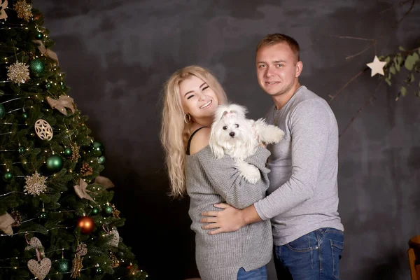 Casal romântico com seu cão fazer diversão perto da árvore de Natal no interior acolhedor casa estética festiva. Bom humor da história de amor de Natal. Sincero, verdadeiro momento. — Fotografia de Stock