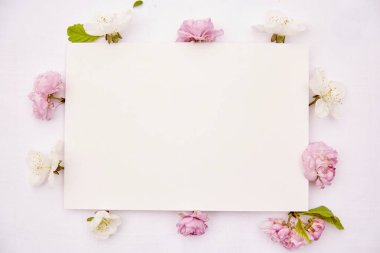 Bahar beyazı, pembe çiçekler ve kırtasiye kartı kapanıyor. Romantik, doğum günü, anneler günü ya da davetiye kartı konsepti. Uzayı kopyala Üst görünüm.
