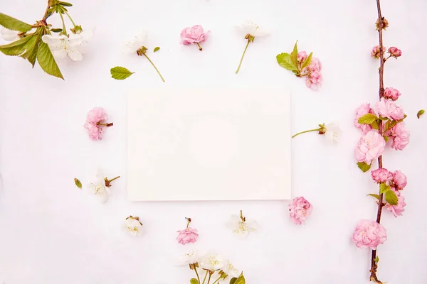 Wiosna Białe Różowe Kwiaty Kartka Papieru Romantyczny Wesele Urodziny Zaproszenie — Zdjęcie stockowe
