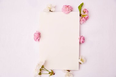 Bahar beyazı ve pembe çiçekli kadınsı kırtasiye kartı modeli. Romantik, düğün, doğum günü, davetiye, anneler günü kart konsepti. Uzayı kopyala Üst görünüm.
