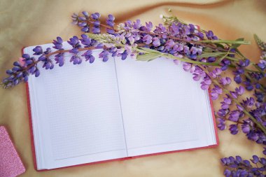 Açık defter mor lupinlerle süslenir, çiçekler altın arka planda kalır. Yaz pikniği. Mesaj için yer. Doğaya yakınlık, kendini keşfetme kavramı