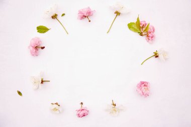 Bahar beyazı ve pembe çiçeklerle daire çiz. Romantik, düğün, doğum günü, davetiye, anneler günü kartı konsepti. Kadınsı bir geçmişi var. Uzayı kopyala Üst görünüm