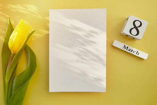 Tarjeta Postal Femenina Maqueta Con Sombras Corazones Chocolate Texto Marzo — Foto de Stock