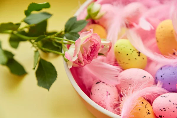 Fête Pâques Fond Bol Rose Aux Œufs Colorés Plumes Roses — Photo