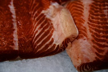 Deniz ve okyanus buzlu balıkları yakın çekim vitrininde. Balık süpermarketi. Çok çeşitli balıklar. Yüksek kalite fotoğraf