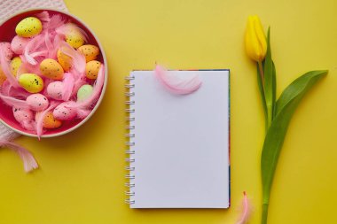 Not defteri maketi. Pembe kase, renkli yumurtalar ve pembe tüyler. Mutlu Paskalyalar. Sarı arkaplanda sarı çiçekli kart modeli.