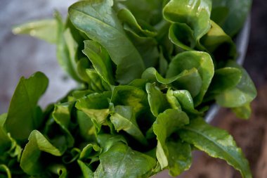 Yeşil taze organik ıspanak arka planı. Üst Manzara. Yüksek kalite fotoğraf