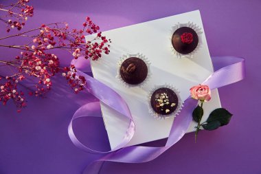 Moda gölgeli şenlikli çikolatalı şekerler. Narin pembe çiçekler ve mor kurdele. Mor renk düzeni arkaplanı.