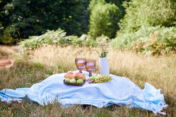 Romantic Summer Picnic Croissants Fruits Chocolate Grapes Glasses Wine Forest — 스톡 사진