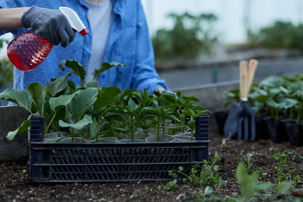 Mujer Jardinero Regando Flores Macetas Rodeadas Plantas Jardinería Casera Jardín —  Fotos de Stock