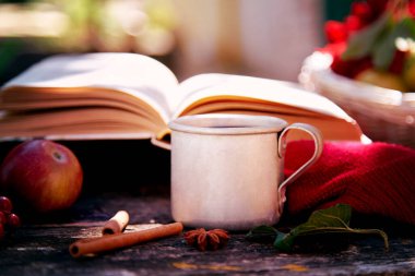 Çay fincanı, klasik kitap ve kırsal tarzda elmalarla sıcak sonbahar konsepti. Güz estetiği gölgeli hayat, kırmızı yıldız çiçeği. Sıcak bir ev, sıcak eşarp ve çay. Şükran Günü konsepti
