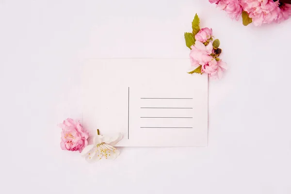 Feminine Minimalistic Spring Pink White Flowers Post Card Place Address — Zdjęcie stockowe