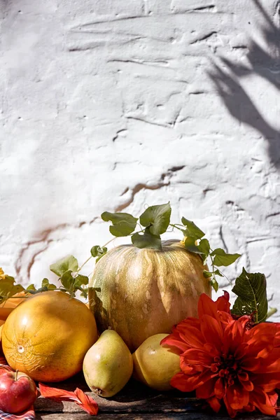 Autumn aesthetic fair: yellow fruits and vegetables, pumpkin, pears, apple and melon. Thanksgiving Day concept with copy space. Autumn still life with red georgine, modern shadows. High quality photo