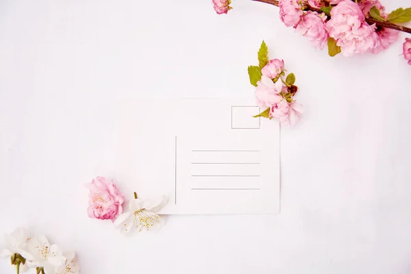 Feminine Minimalistic Spring Pink White Flowers Post Card Place Address — Zdjęcie stockowe
