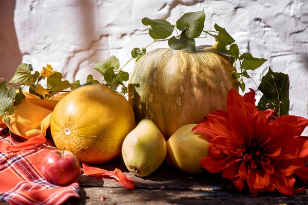 Autumn aesthetic fair: yellow fruits and vegetables and bright paints with a brush, pumpkin, pears, apple and melon. Thanksgiving Day concept. Autumn still life with red georgine, modern shadows. High quality photo