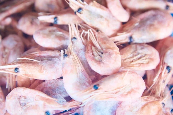 Frozen shrimp in a shop freezer window. Sea and ocean iced fish on a shop display close-up. Fish supermarket. A wide variety of fish. High quality photo