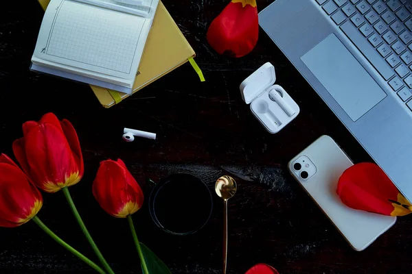 Aesthetic online work, place work with red tulips and cup of coffee. Online work, listening to music by headphones, taking webinar, learn language in app, online meeting, learning at home office.