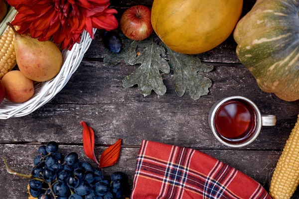 Mysig Höst Rustik Stilleben Kopp Frukt Grönsaker Pumpa Päron Äpple — Stockfoto