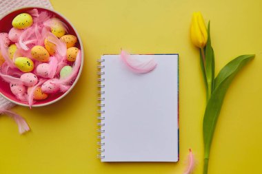 Not defteri maketi. Pembe kase, renkli yumurtalar ve pembe tüyler. Mutlu Paskalyalar. Sarı arkaplanda sarı çiçekli kart modeli.
