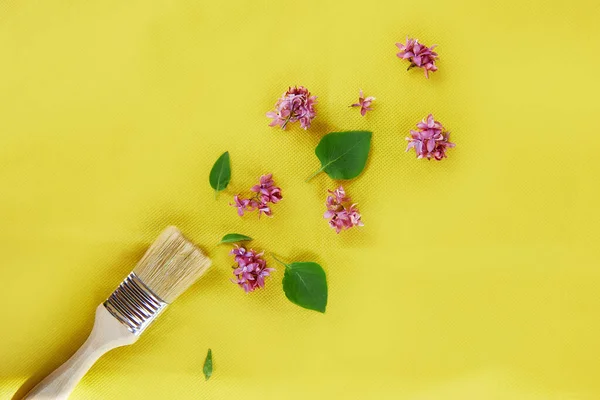 Всплеск Весенних Цветов Кисти Желтом Фоне Устойчивое Коттеджное Ядро Связанное — стоковое фото