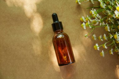 Gölgeli ve papatya çiçekli siyah kapaklı kehribar cam damlası şişesi. Cilt bakım ürünleri, doğal kozmetik ürünleri. Yüz ve vücut bakımı için güzellik ürünleri. Üst görünüm