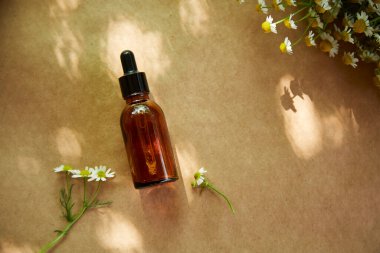 Gölgeli ve papatya çiçekli siyah kapaklı kehribar cam damlası şişesi. Cilt bakım ürünleri, doğal kozmetik ürünleri. Yüz ve vücut bakımı için güzellik ürünleri