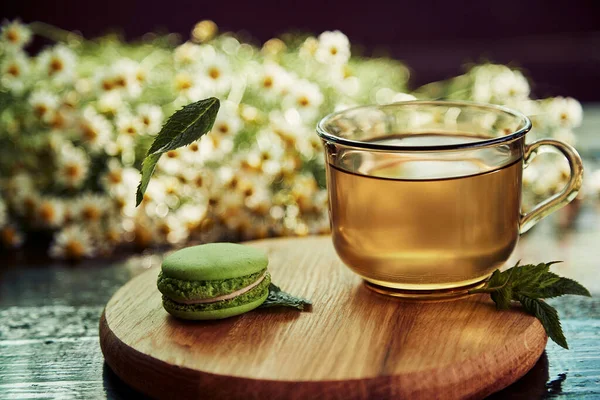Aesthetic tea time, herbal tea and macaroons dessert outside in the terrace under trendy hard shadows. Sweet desserts, natural chamomile herbal tea - natural sustainable eco-friendly lifestyle.