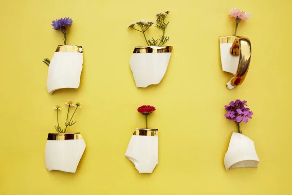 Creative aesthetic broken cup\'s pieces with wildflowers, miniature flower pots. Creative conceptual home decorations idea. House plants, growth, hope, cozy home concept. Plant aesthetic