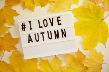 Sonbahara bayılırım hashtag 'i yaz. Estetik sonbahar sarı yapraklı arka plan. Üst Manzara. Moda sonbahar geçmişi. Yüksek kalite fotoğraf