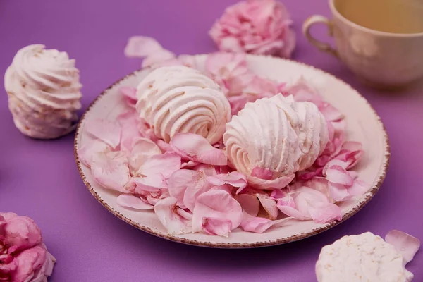 Natural Vanilla Sugar Free Marshmallows Cup Cappuccino Healthy Sweets Natural — Stockfoto