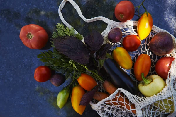 Vegetables in eco mesh bag with tomatoes, sweet pepper, carrots, eggplant, basil under trendy hard shadows with reflection background. Ecological concern. Copy space.