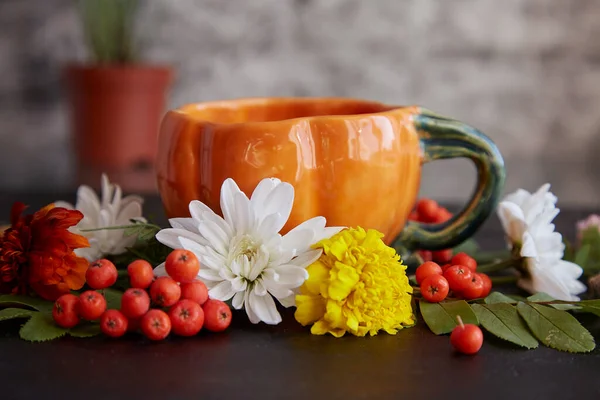 Atmospheric eco-friendly sustainable teatime with cup in shape of pumpkin. Autumn background among rowan berries, acorns, marigold, chrysanthemum on black background