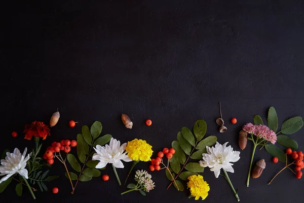 Aautumn aesthetic black background with bright flowers - marigold, chrysanthemums, and rowan berries, acorns. Copy space.
