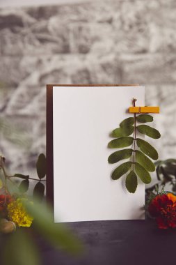 Boş kartpostallar, kırtasiye kartları estetik sonbahar çiçekleri ve yaprakları arasında taklit ediliyor. Atmosferik konforlu ev arka planı.