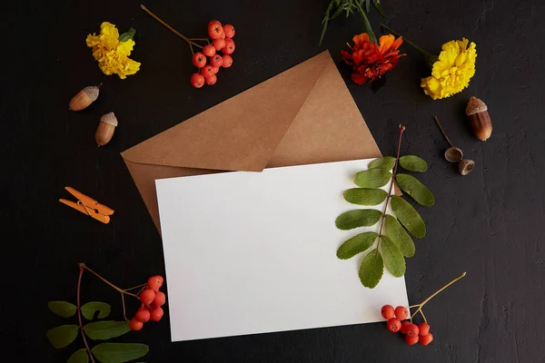 Papírboríték Levélpapírral Őszi Virágok Levelek Között Gúnyolódik Esztétikai Háttér — Stock Fotó