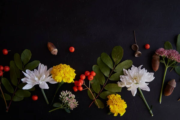 Atmosferik Sonbahar Çiçekleri Arka Planda Yabanmersini Meşe Palamudu Kadife Çiçeği — Stok fotoğraf