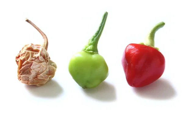 Droge Groene Rijpe Biquinho Peper — Stockfoto