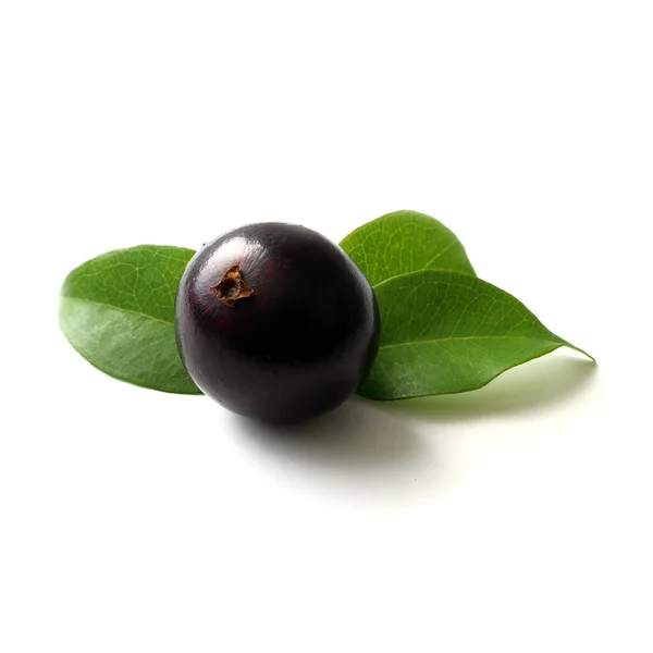 Dettaglio Frutta Esotica Jabuticaba Isolata Sfondo Bianco — Foto Stock