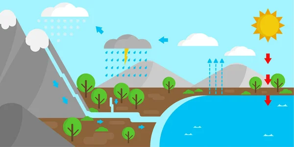 Illustrative Model Water Cycle Nature Educational Illustration Science Geography — Stock Vector