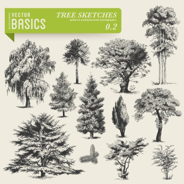 Tree sketches vector
