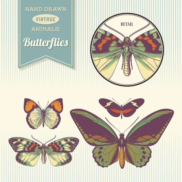 Mariposas vintage dibujadas a mano — Vector de stock