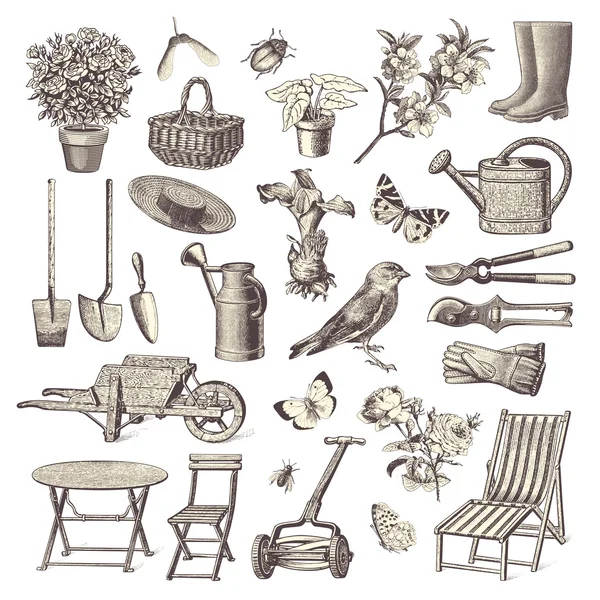 Éléments de conception de jardin Vintage — Image vectorielle